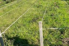 IMG-20230907-WA0038